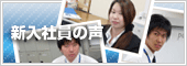 新入社員の声