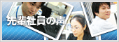 先輩社員の声